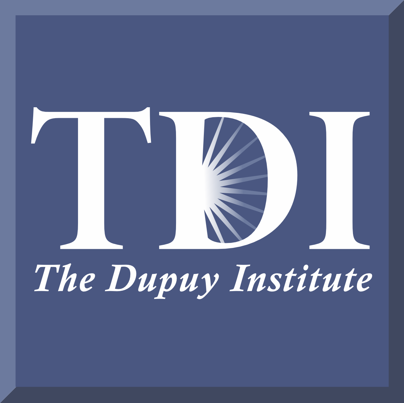 The Dupuy Institute